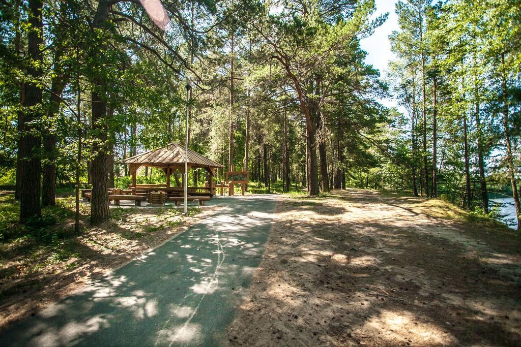 Vila Sveciu Namelis Druskininkai Exteriér fotografie